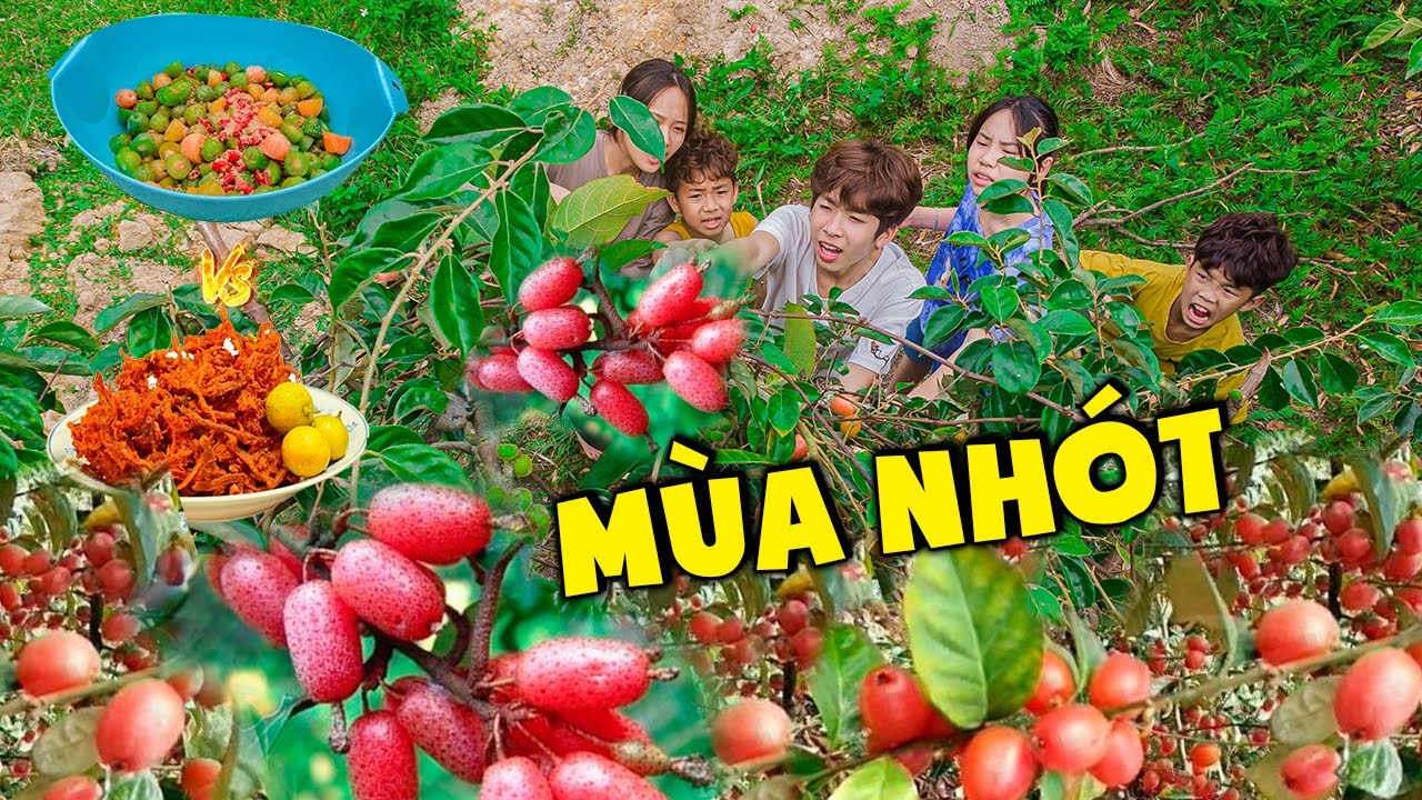 Thái Chuối | Một Ngày Ăn Sạch Cây Nhót - Nhót Lắc Bò Khô