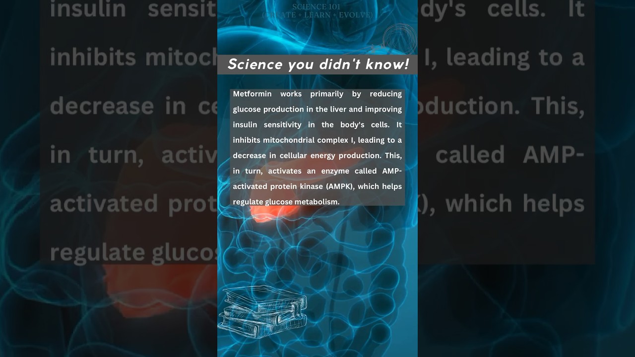 Metformin simplified