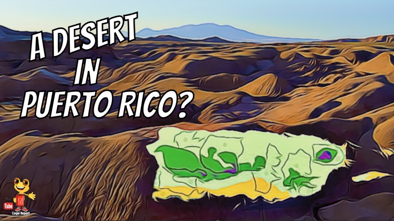 Surviving in Gu&aacute;nica's Dry Forest in Puerto Rico
