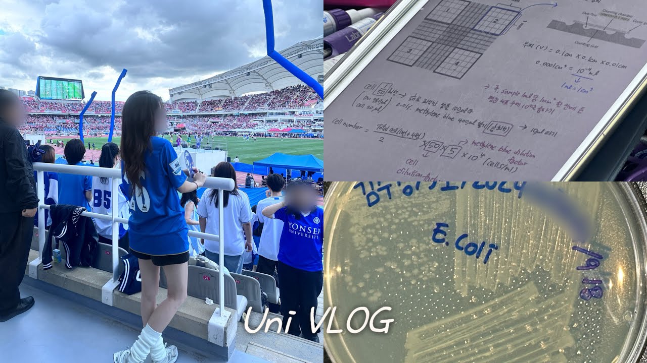 대학생 vlog | 아직은 개강 3주차니까 놀아도 되자나?🤷‍♀️ • 연고전🏀⚽️