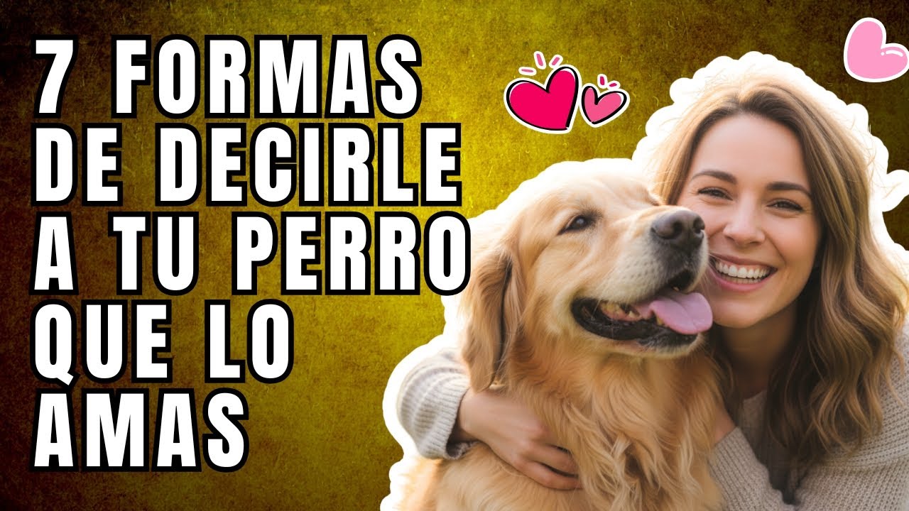 7 Maneras de Decirle a tu PERRO que lo AMAS: El Lenguaje del Amor Canino