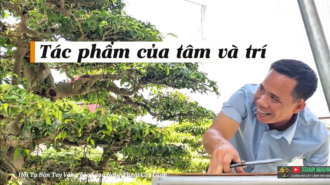 Khi tâm hồn người nghệ nhân hóa thân vào dáng cây, tác phẩm của tâm và trí .  #bonsai #phamthuy