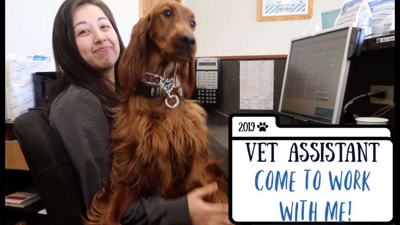 VET ASSISTANT | COME TO WORK WITH ME!