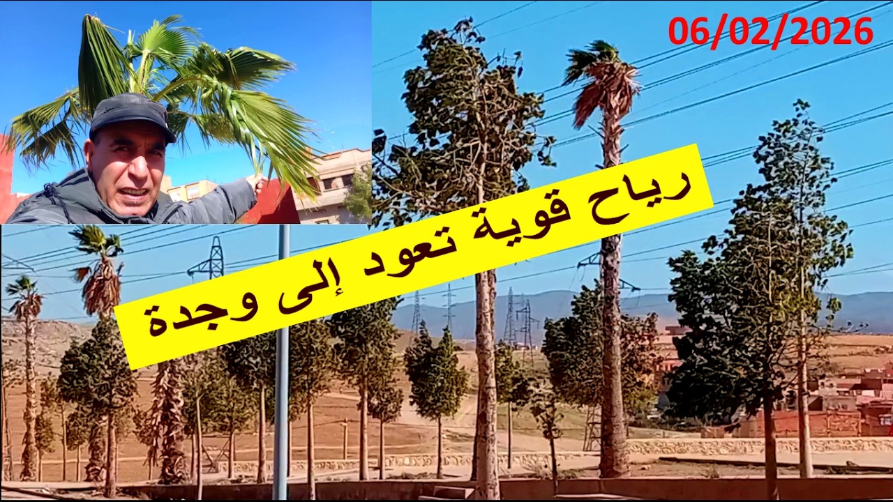 رياح قوية تعود من جديد وأيام باردة بوجدة الحمد لله اللهم اتنا من خيرها وقنا شرها