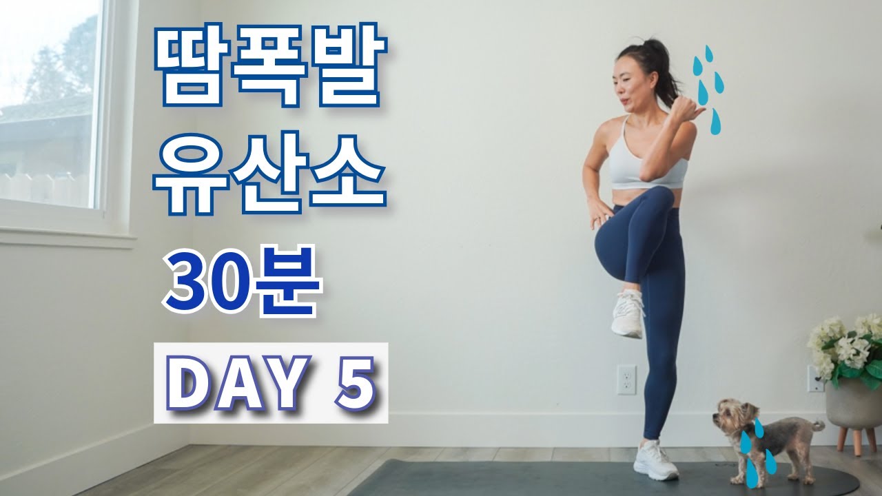 DAY 5 살이 안 빠질 수 없는 땀폭발 에어로빅 유산소 홈트 루틴 || Aerobics Cardio Home Workout