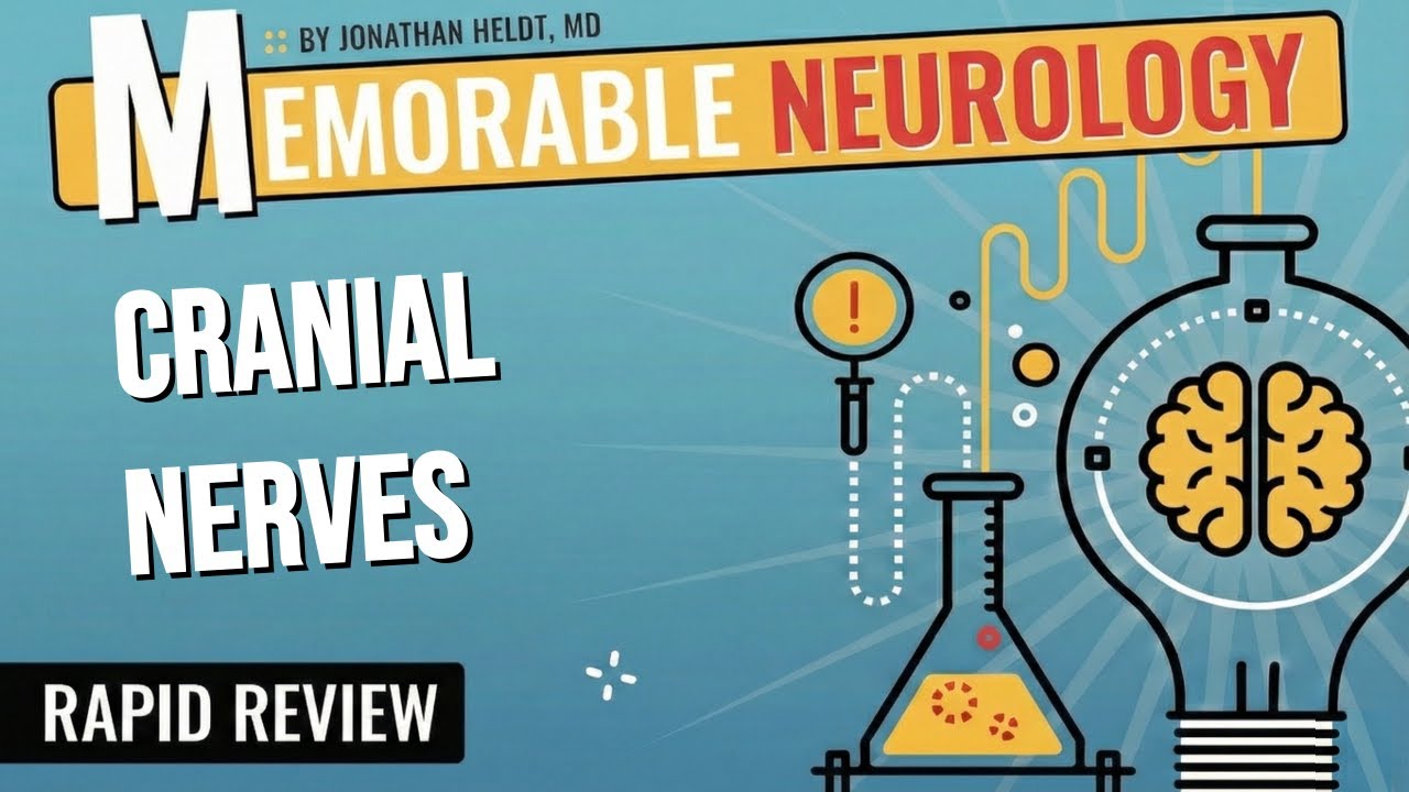 Cranial Nerves Mnemonics (Memorable Neurology Lecture 9)