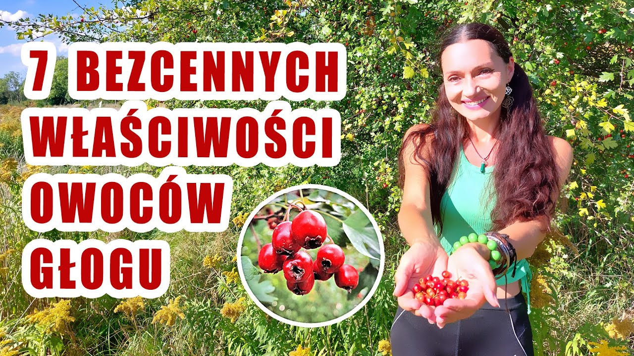 Owoce Głogu - Odkryj jego 7 potężnych MOCY  dla zdrowia!