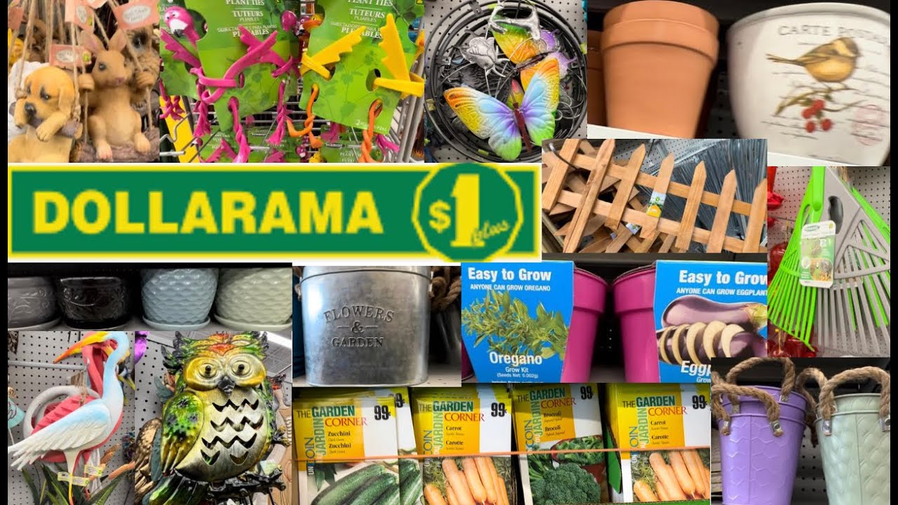 Dollarama! Shopping at Dollarama!