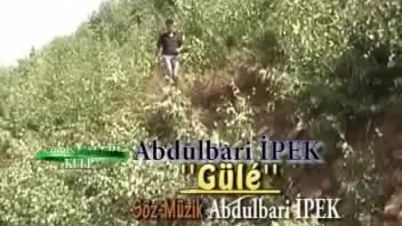 Abdulbari İpek - Gule - (Official Video)