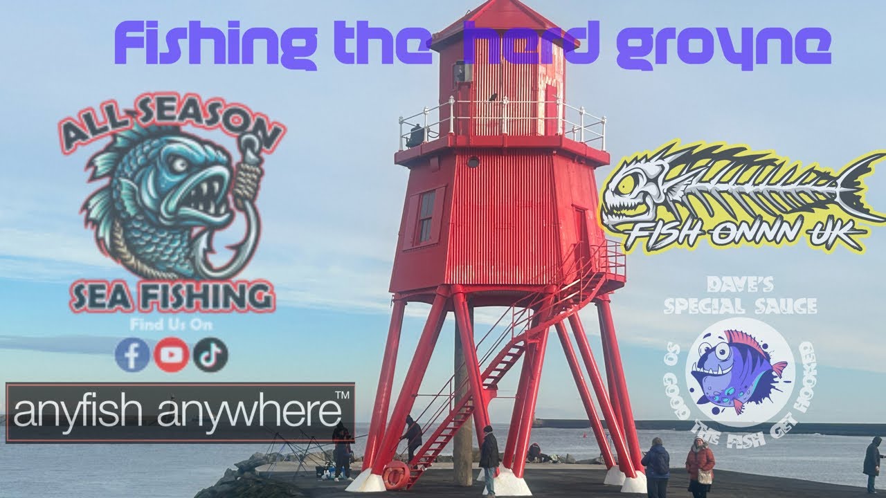 Fishing | the herd |  groyne