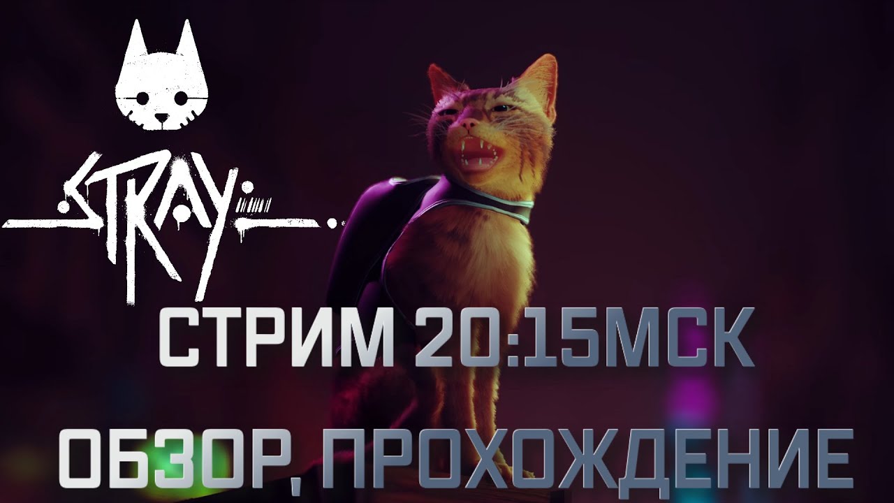 Stray PC. Обзор, прохождение, стрим.