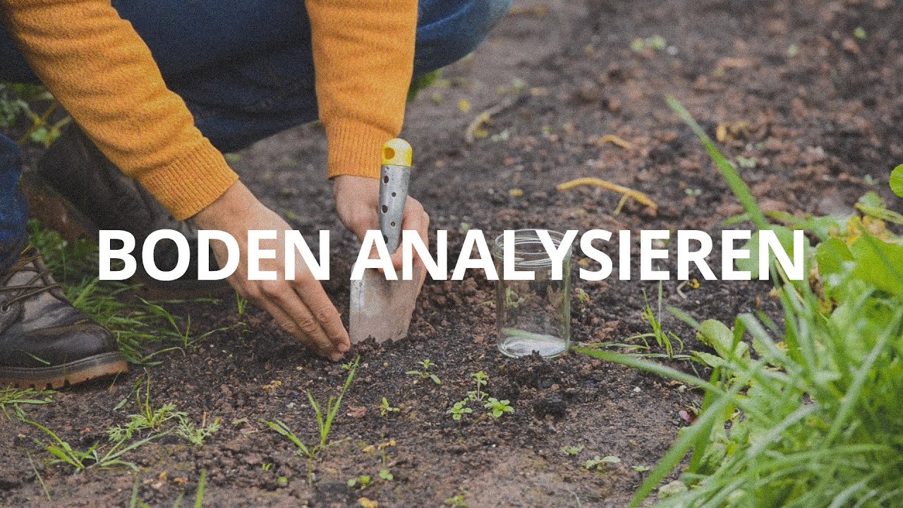 Den Gartenboden analysieren - Orfeas Fischer