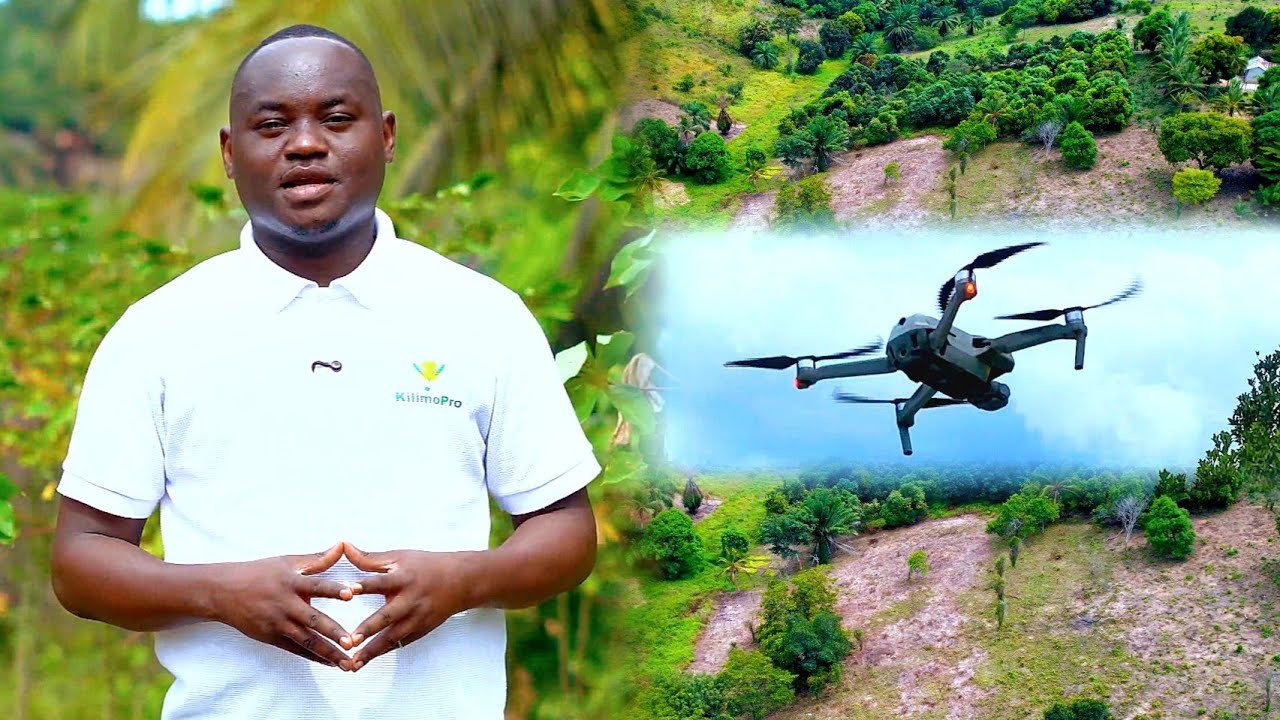 TUMETEMBELEA SHAMBA LA MTEJA ANAYETAKA KULIMA MINAZI – USHAURI WA KITAALAM, KILIMO CHA KIBIASHARA