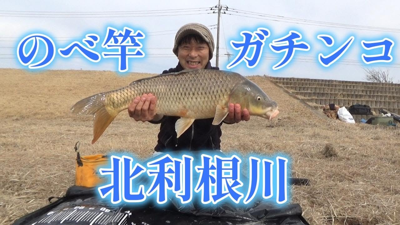 渡辺武の一緒に♥鯉釣りしませんか？～のべ竿ガチンコ勝負in北利根川の巻き～