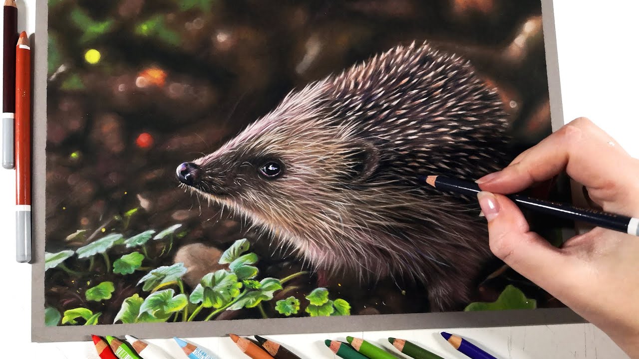 How to Draw PHOTO REALISTIC fur with Pastel Pencils | Real Time tutorial