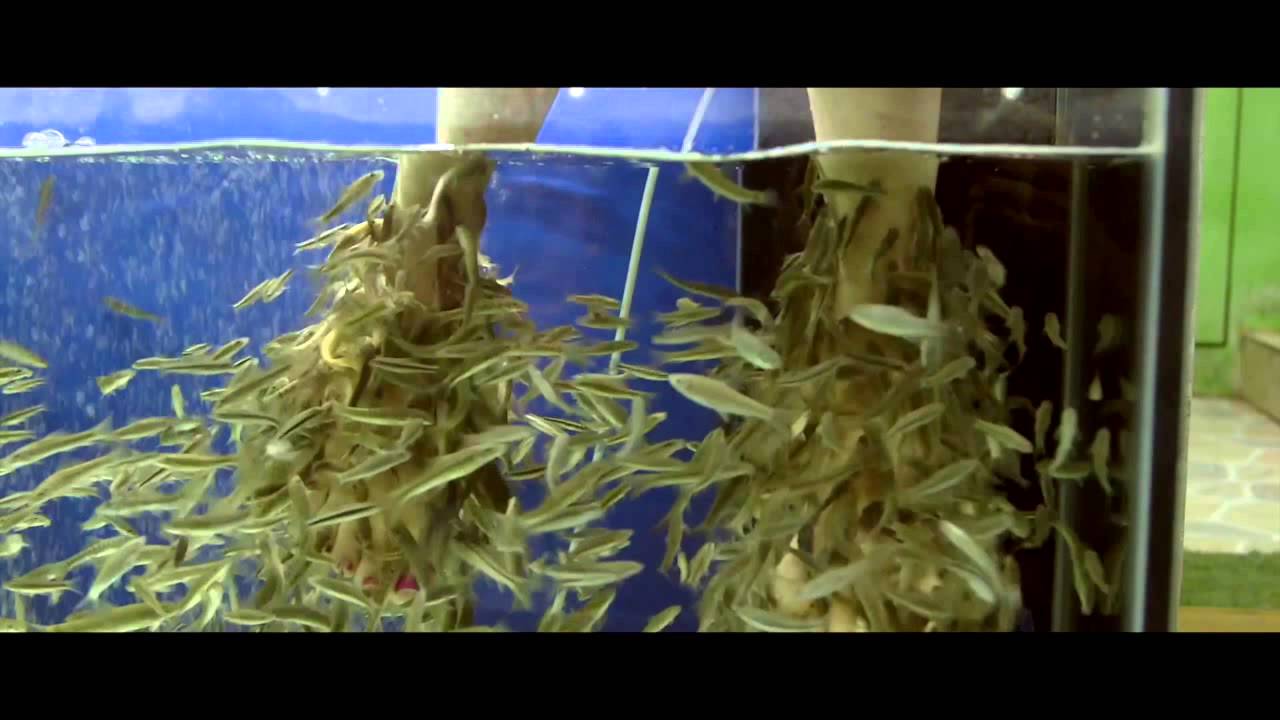 Lonely Tonight - Inva