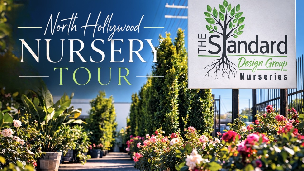 You Won’t Believe How Many Plants Are at This Nursery 🌿 Full Tour!