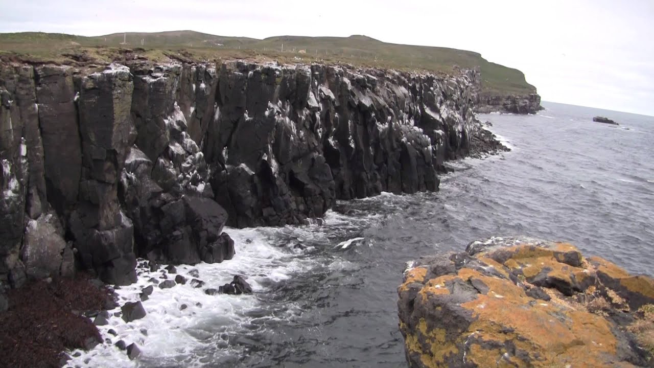 The Birds of Grimsey Island
