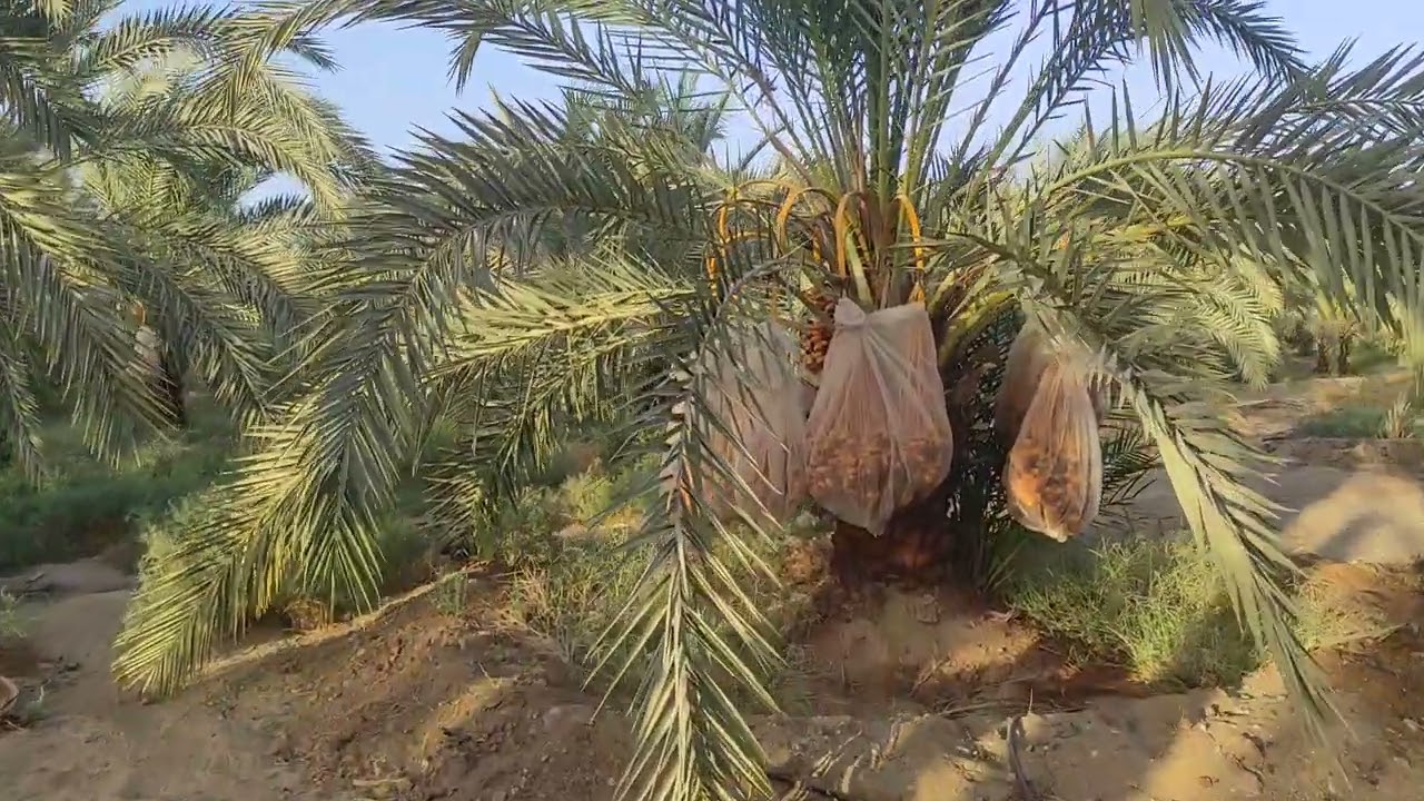 المستندات المطلوبة لفتح ملف تقنين جديد حال صدور القانون الجديد 