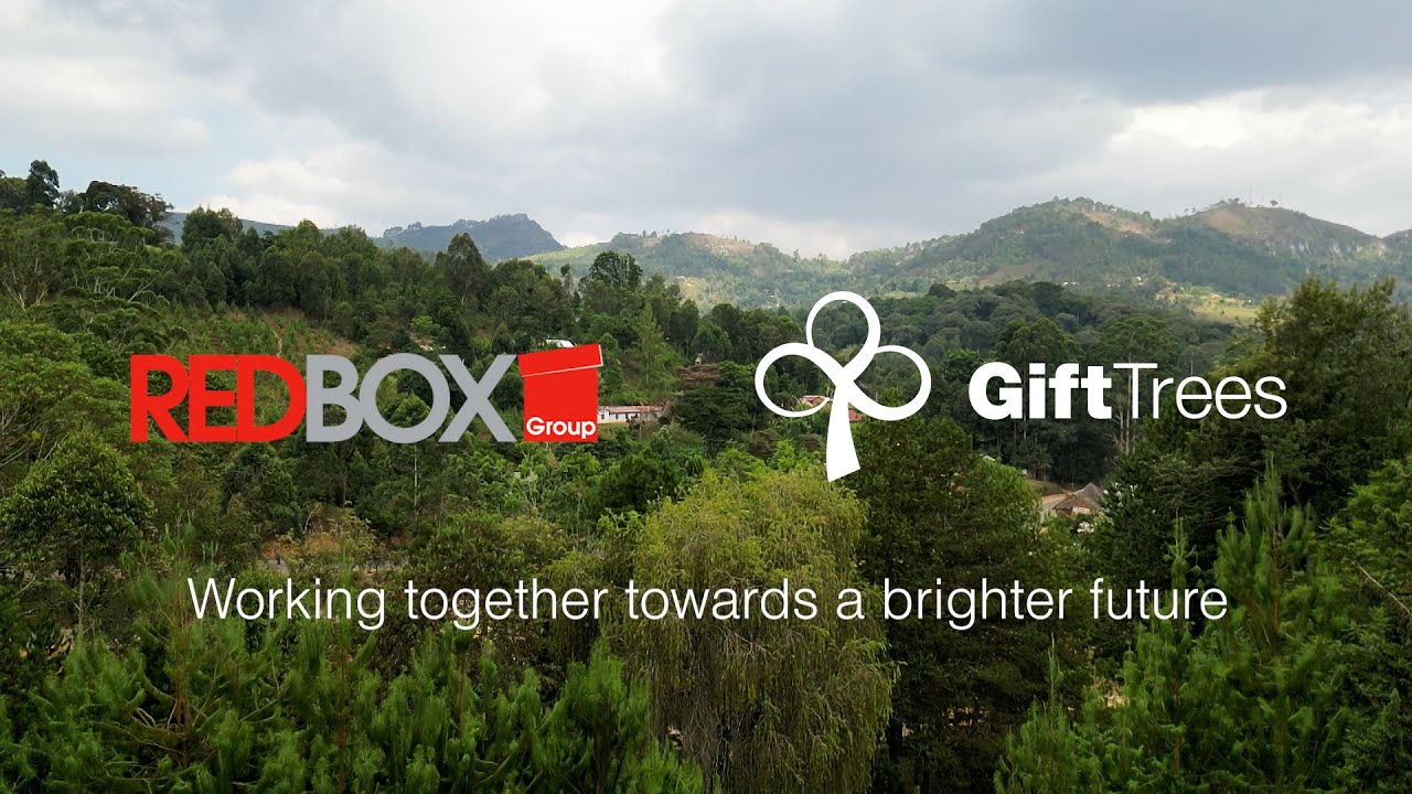 How RedBox and GiftTrees Drive Sustainability and Social Impact