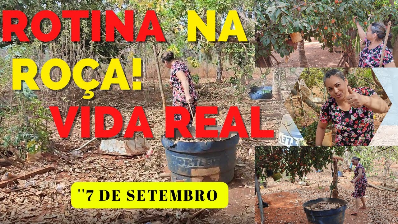 ROTINA NA RO&Ccedil;A! Vida Real  &ldquo;7 de Setembro#video #vlog #2022  @regianealves-vidanaroca