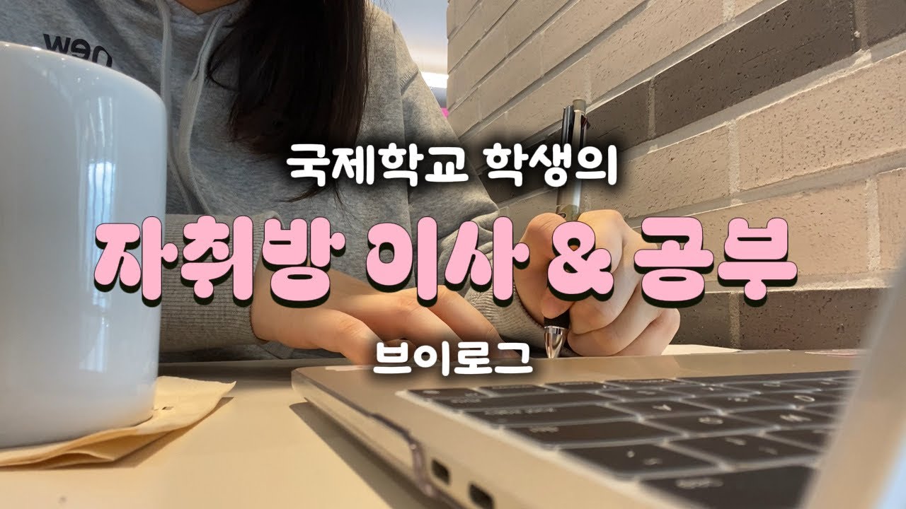 고딩이 혼자 자취하면.. 방학동안 살 자취방 구하기 | 자취 & 공부!!! 브이로그 | 나의 1월 기록 | 국제학교 학생 방학 | 혼자 먹고 놀고 