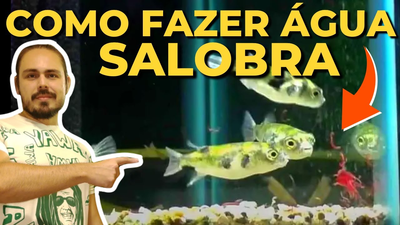 🔴 COMO FAZER TPA EM ÁGUA SALOBRA|Mr. Betta|