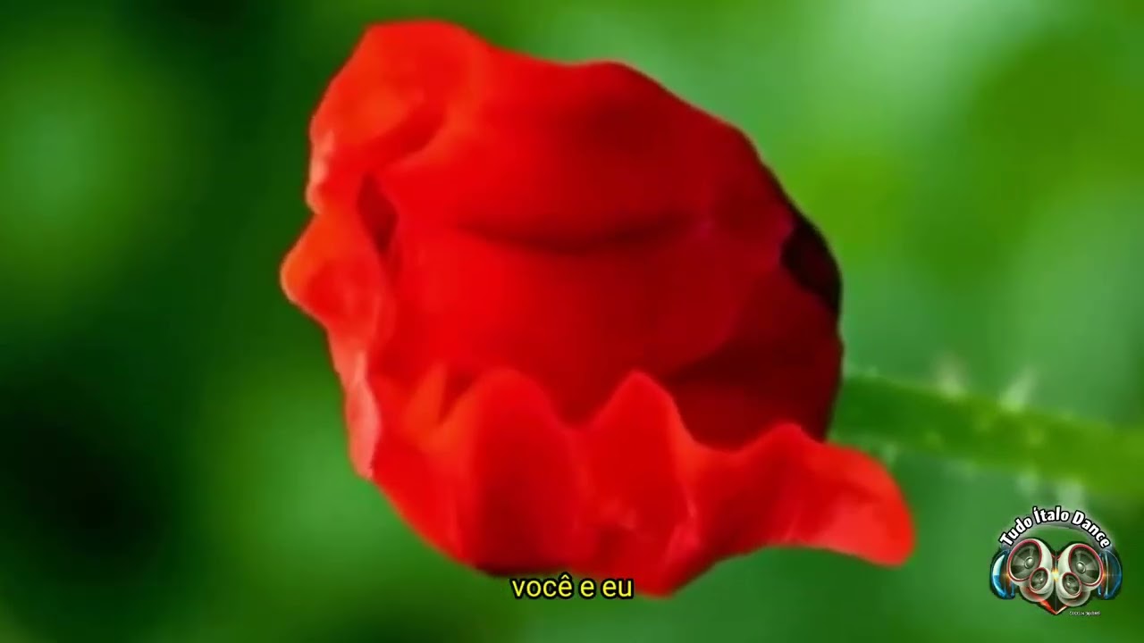 Leo Rizzi - Amapolas (Xpander Producer 2025)
