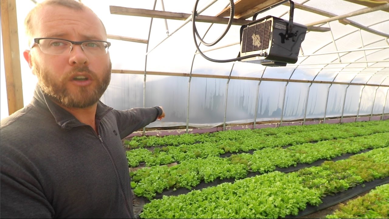 WINTER GREENS IN A SEMI-HEATED HIGH TUNNEL ((Hothouse))