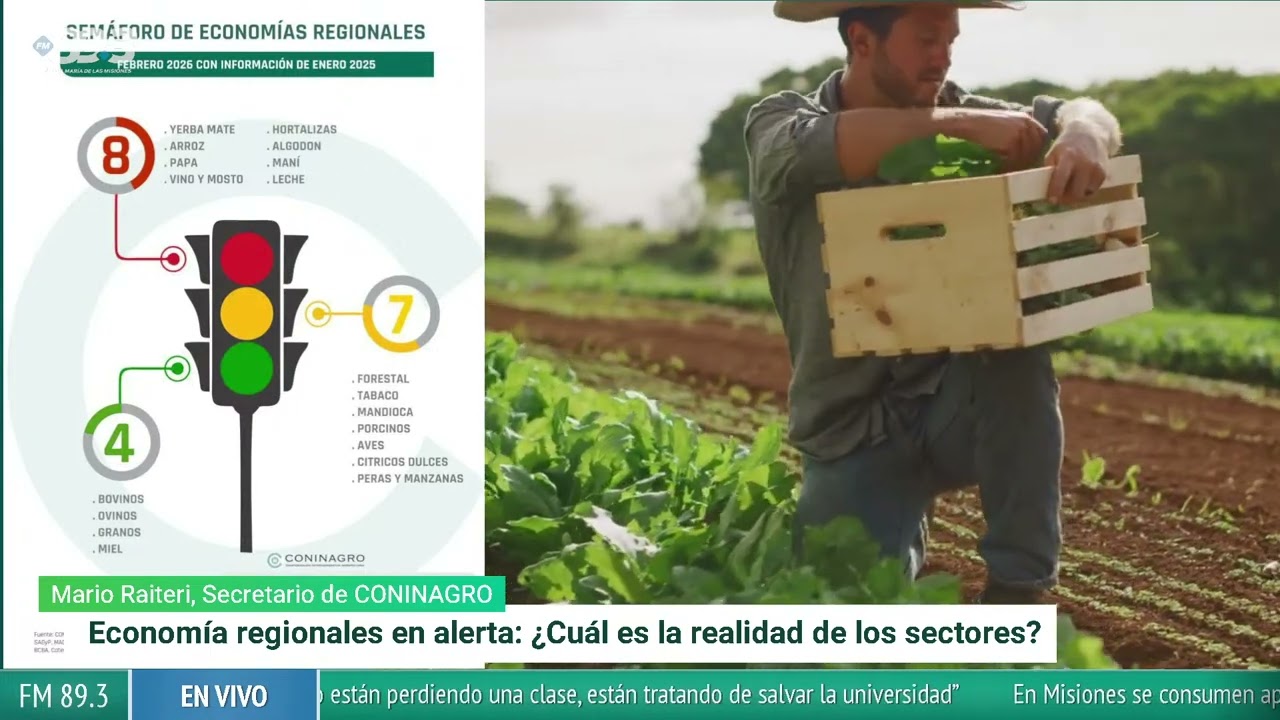 Economía regionales en alerta.  ¿Cuál es la realidad de los sectores?
