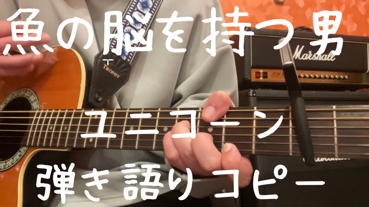 魚の脳を持つ男_ユニコーン_弾き語りコピー