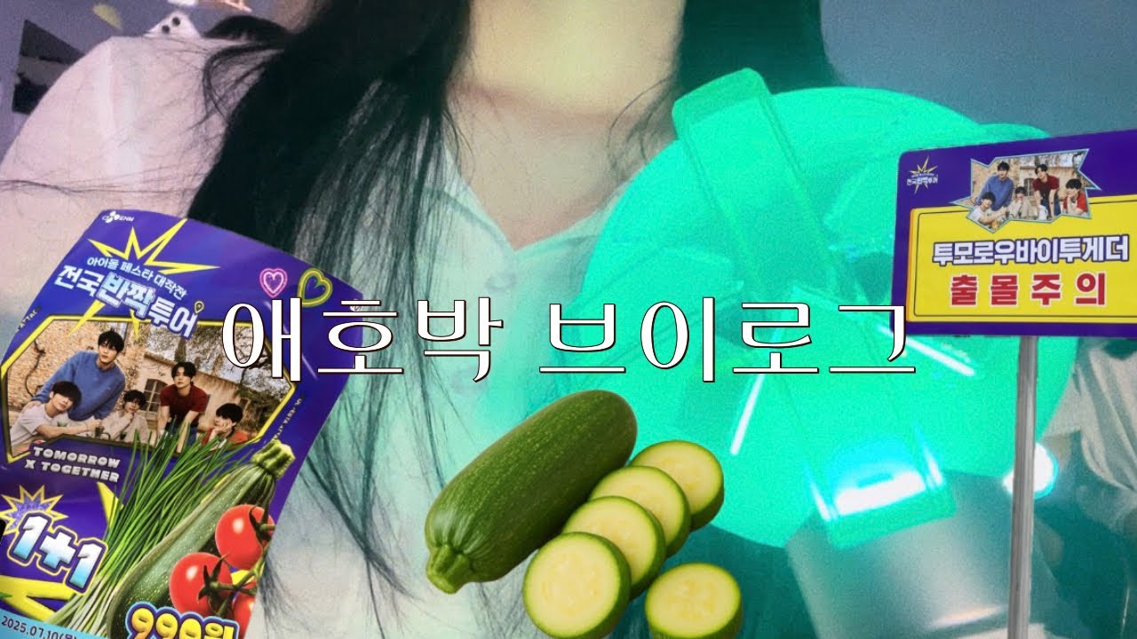 [ 모아로그 ] 990원만 주면 투바투를 볼 수 있다고? | 전국반짝투어
