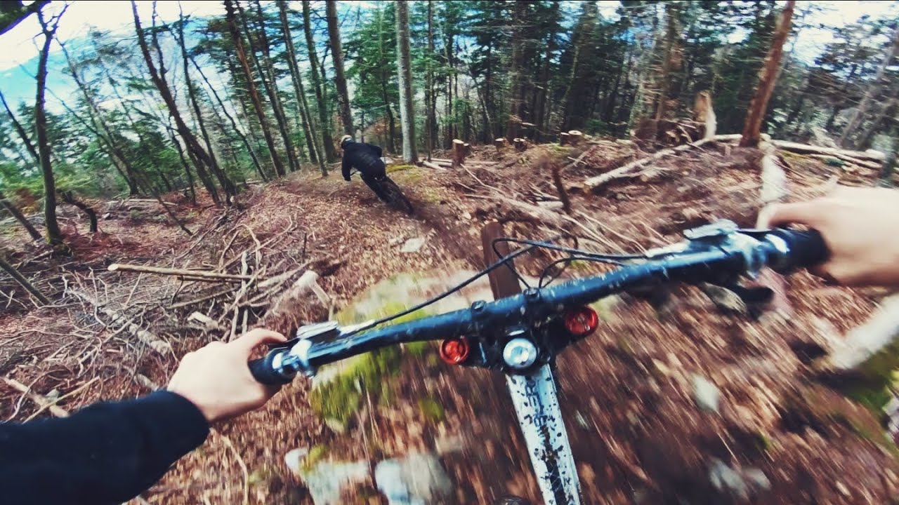Sliding through the leaves