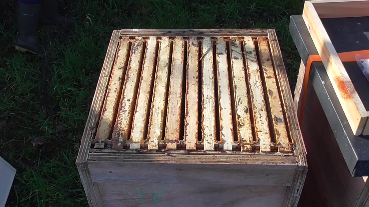 Bienen Imkerei, Eiweißfutter auflegen, als Startschuß!