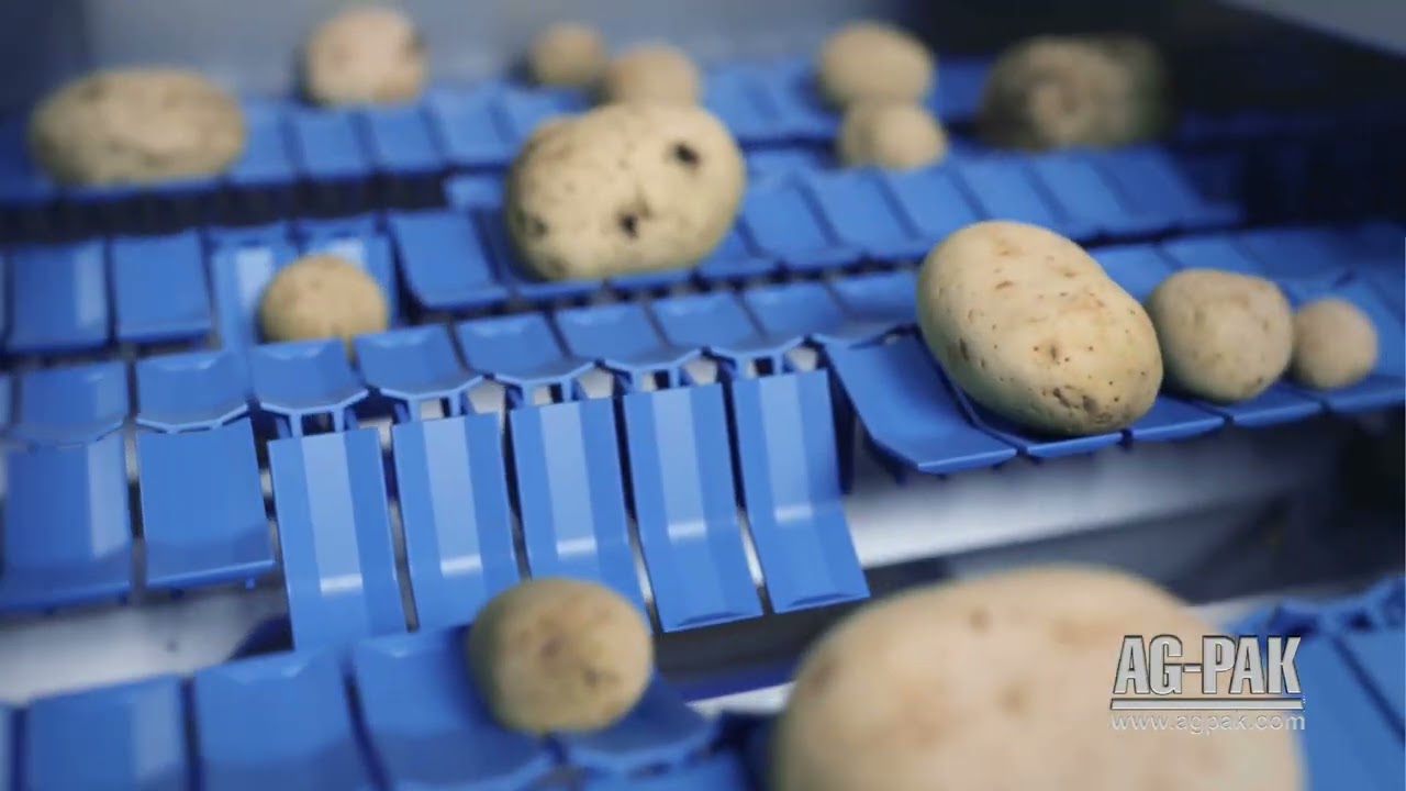 NEWTEC Celox P UHD Dual Lens Optical Grader for Potatoes from Ag Pak
