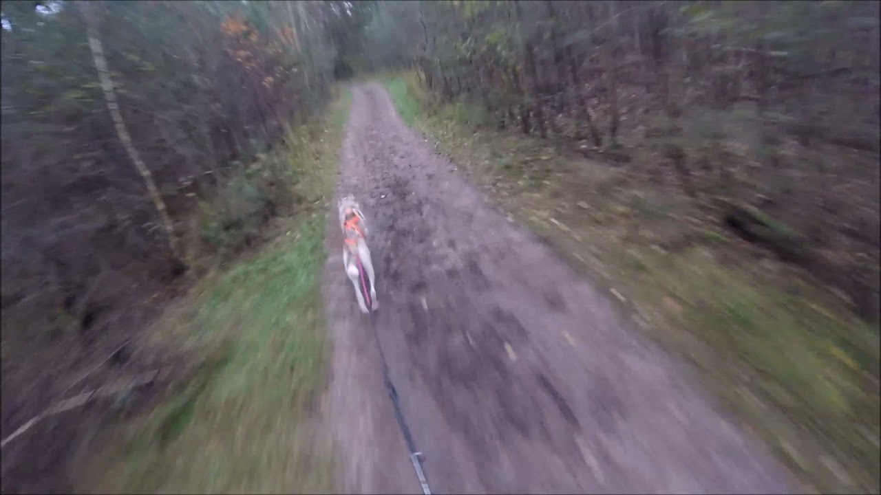 met Fireranger op pad tijdens een training