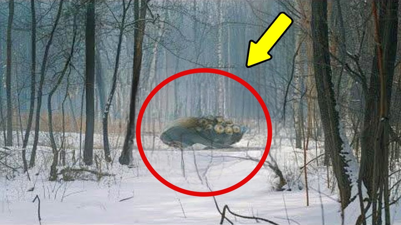 Naučnik Je Postavio Sakrivene Kamere u Mrtvu Zonu Černobila &ndash; Ono &Scaron;to Je Otkrio, &Scaron;okiralo Ga Je!