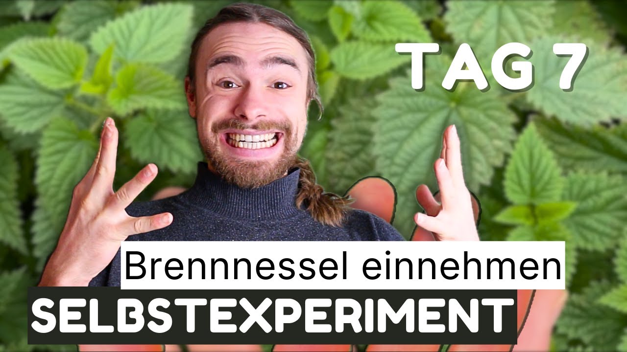 7 Tage Brennnessel-Kur – Wirkung, Fehler & Überraschungen