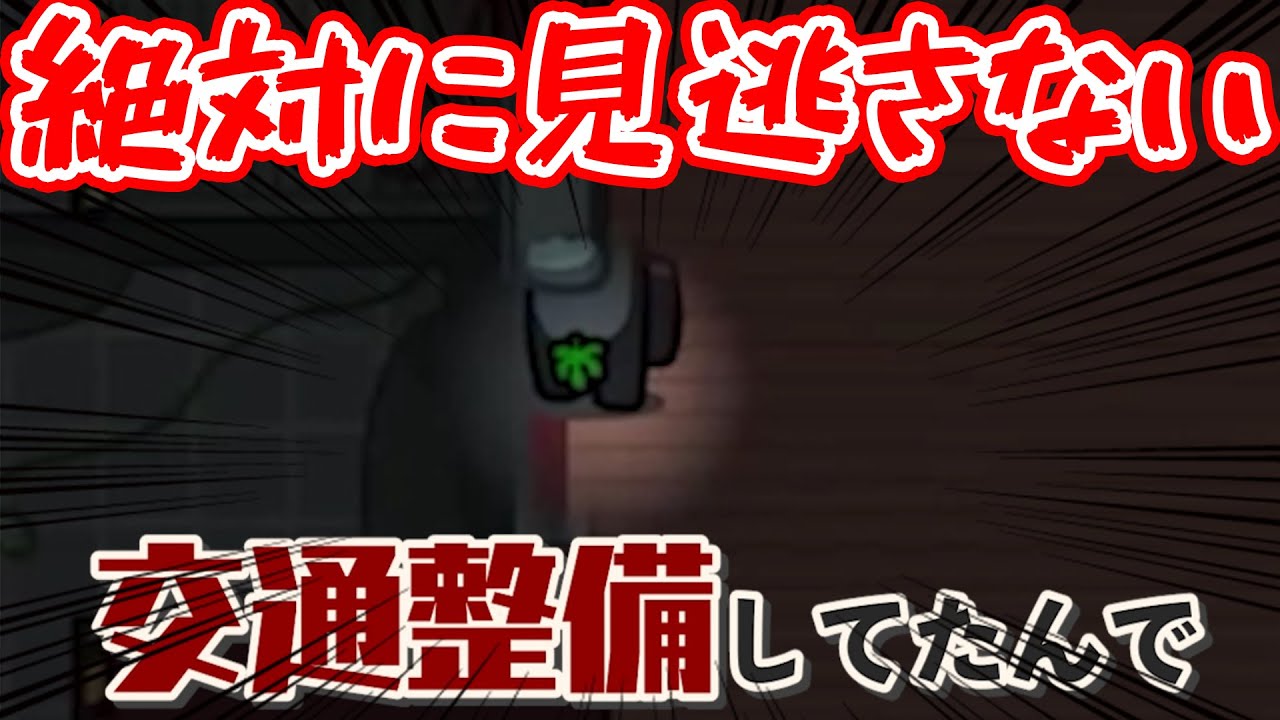 【AmongUs】交通整備してたら最強過ぎたｗｗｗｗ【激選動画#116】