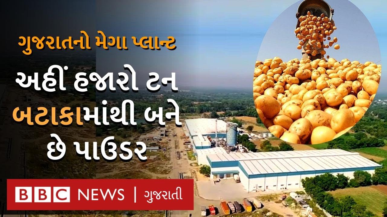 ગુજરાતનો વિશાળકાય પ્લાન્ટ, જ્યાંથી બટાકાનો પાઉડર 70 દેશોમાં નિકાસ થાય છે | Potato processing plant