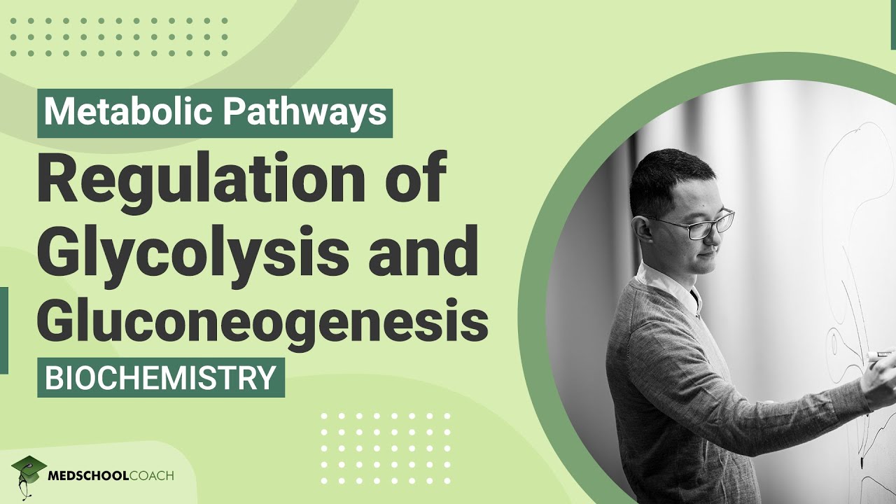Regulation of Glycolysis and Gluconeogenesis