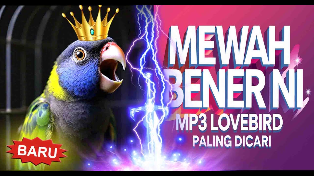 Panggilan Burung Lovebird Gacor Ngekek Bikin Yg Lain Ikut Gacor Terbukti Ampuh 😱  #masteranlovebird