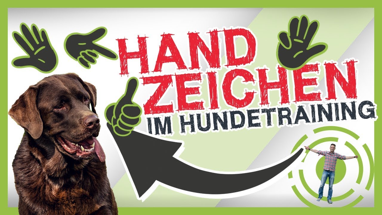 HANDZEICHEN erfolgreich im Hundetraining nutzen [Distanzkontrolle Beispiel]