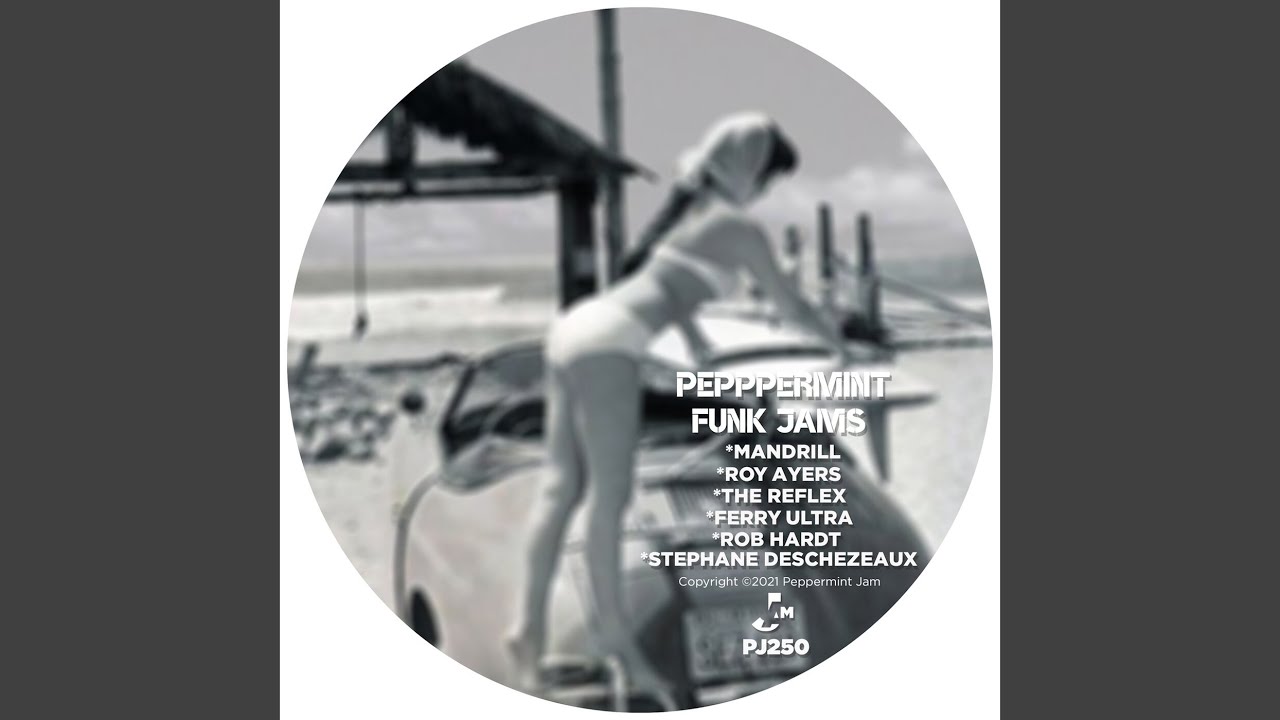 Got to the Funk (Stephane Deschezeaux Remix)