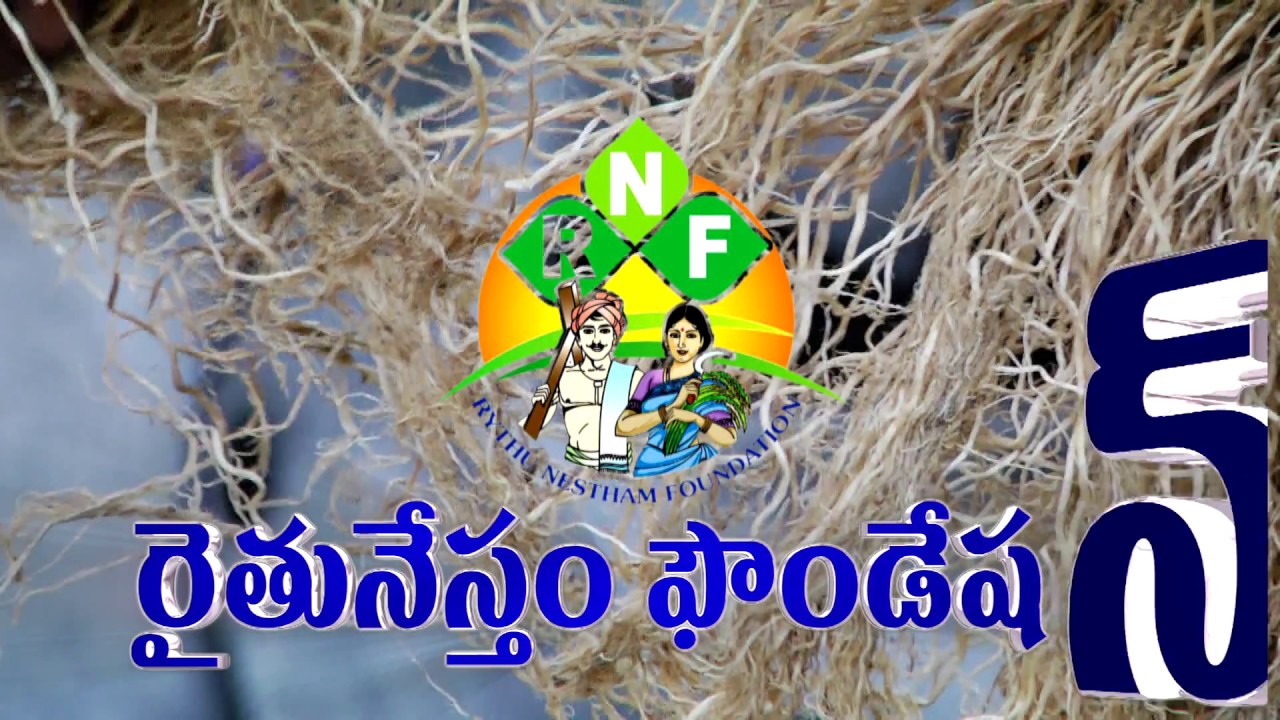 bio fertilisers & pesticides - micorriza