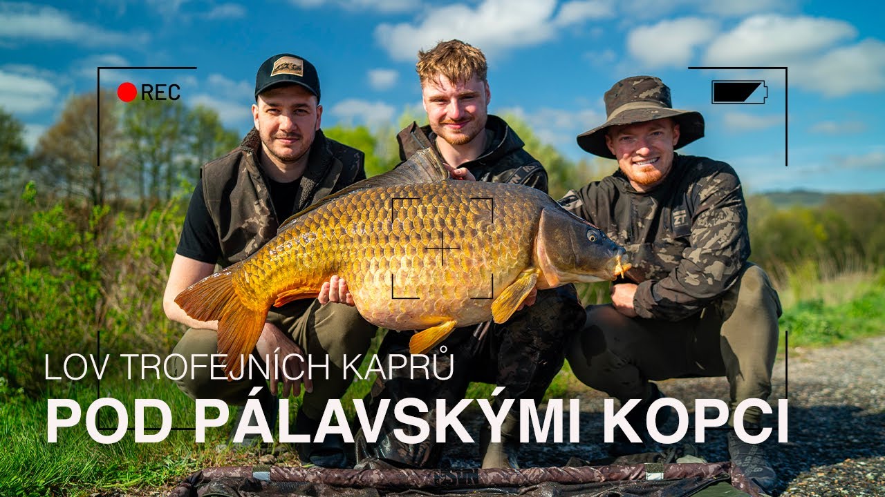 Lov trofejních kaprů pod Pálavskými kopci