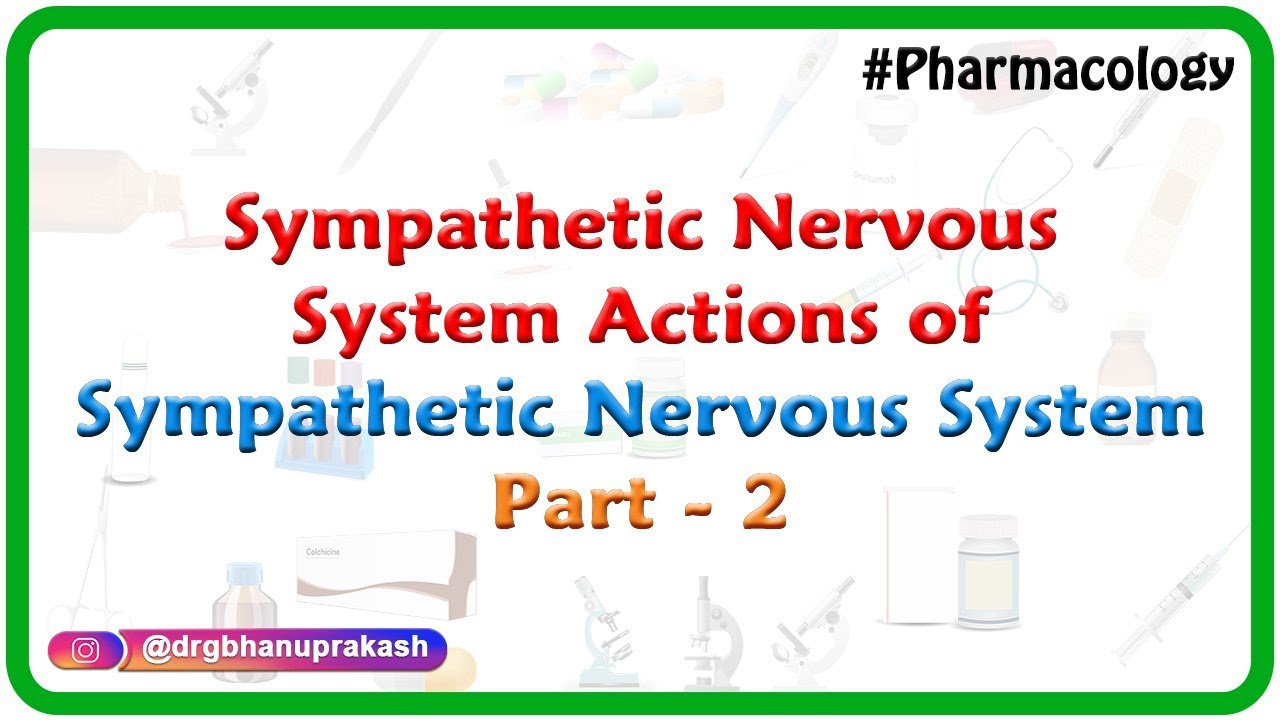 1.Sympathetic Nervous System (Pharmacology) -  Actions of sympathetic nervous system part 1