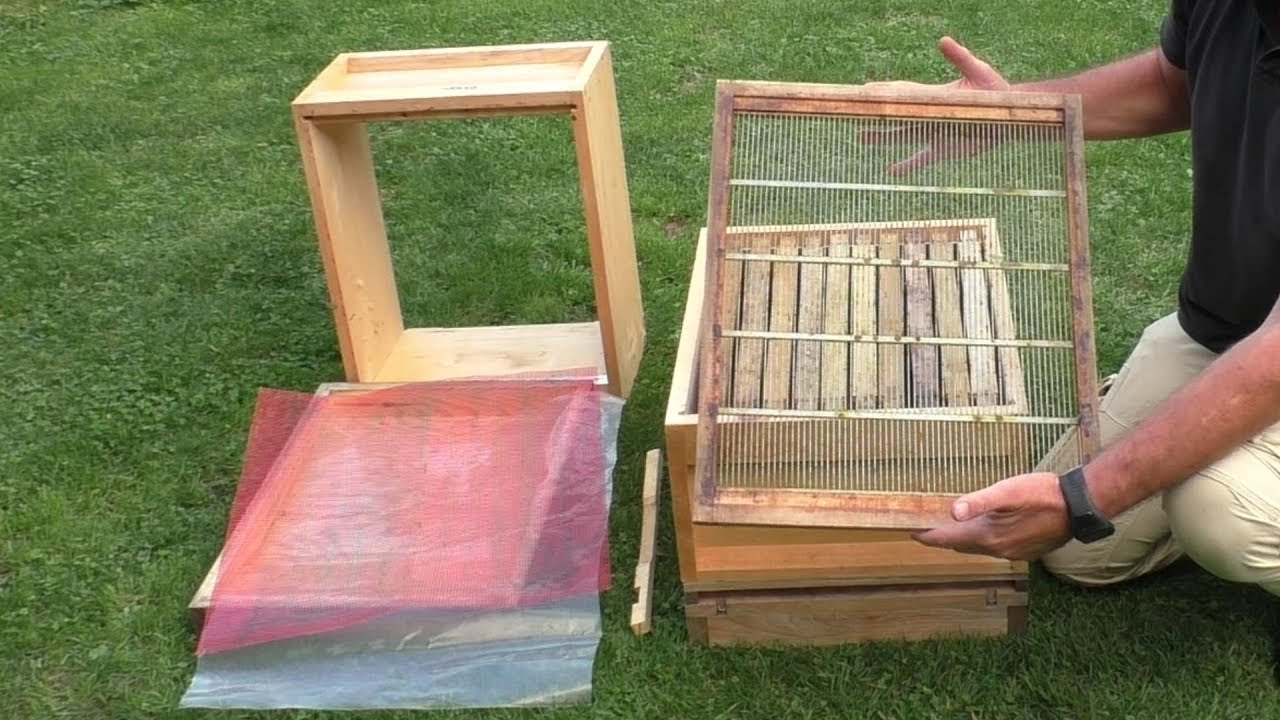 Beuten, Böden, Mittelwände