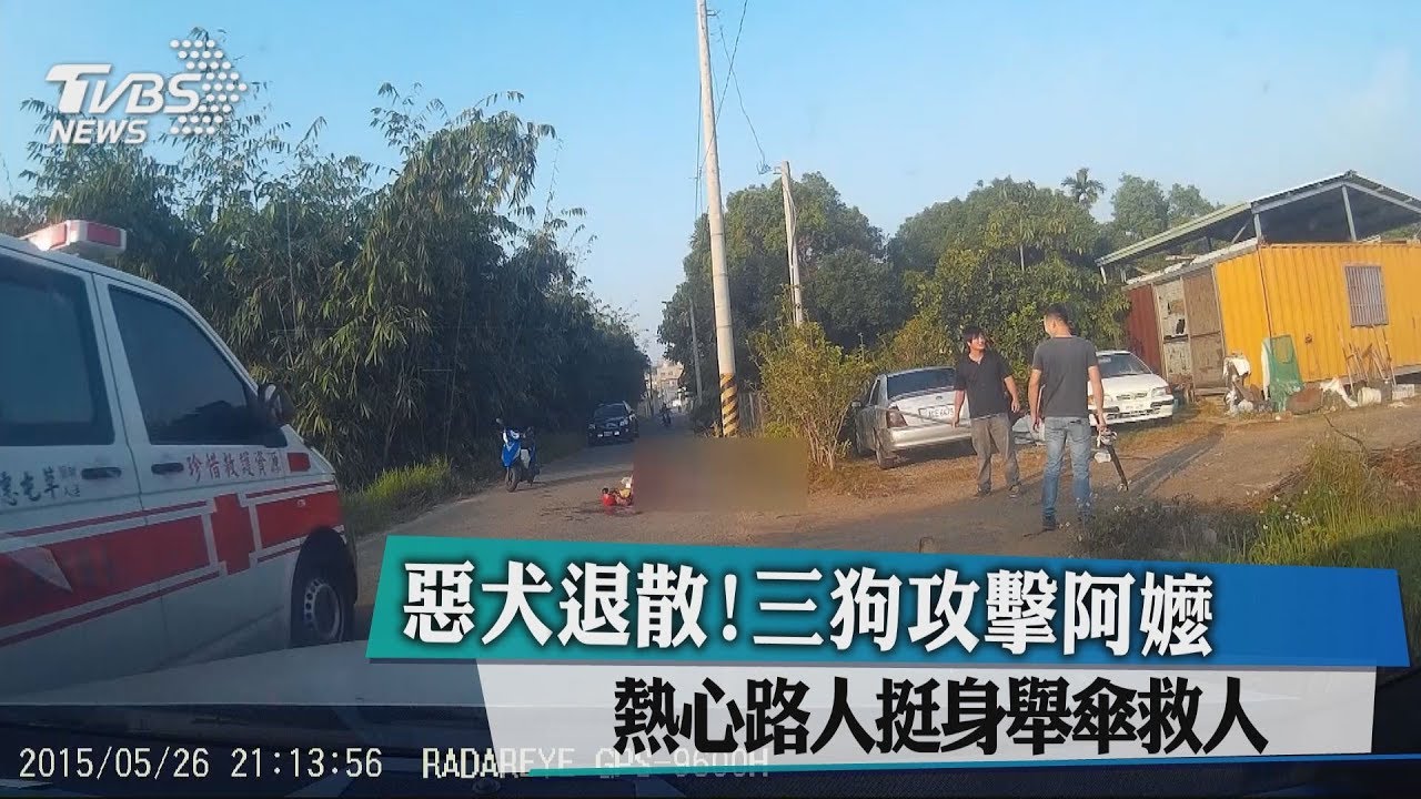 惡犬退散！三狗攻擊阿嬤 熱心路人挺身舉傘救人