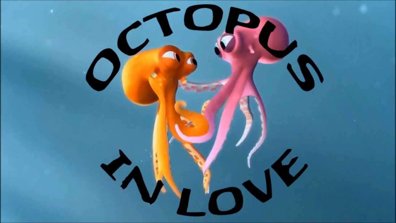 Octopus in Love